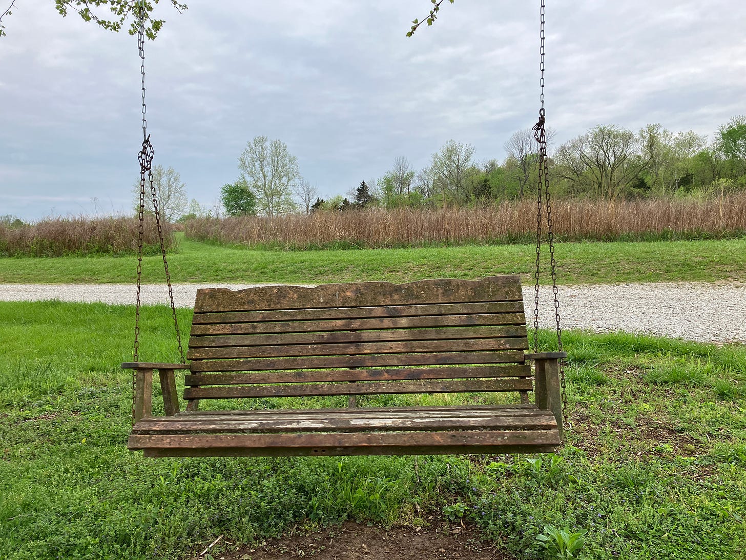 An old wood double chair swing hanging from a tree branch with a path and a field of tall wheat colored grasses behind it.