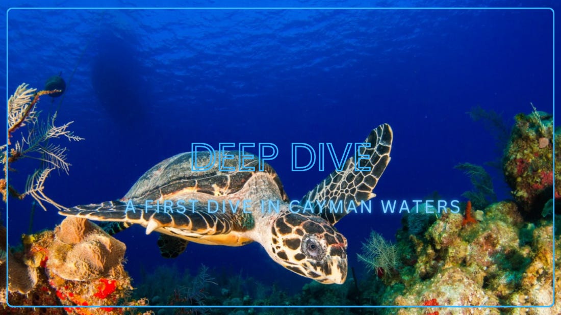 a green sea turtle swimming over a coral reef