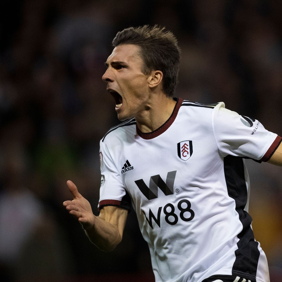 Fulham suffer major blow as Joao Palhinha suspended for Newcastle clash -  Chronicle Live
