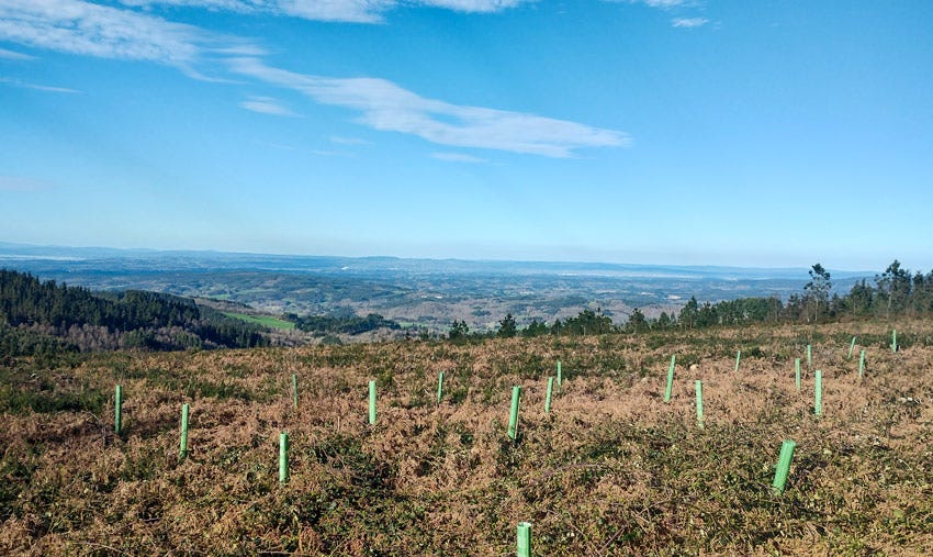 Panorámica con una gran explanada en la que se puede ver Lugo