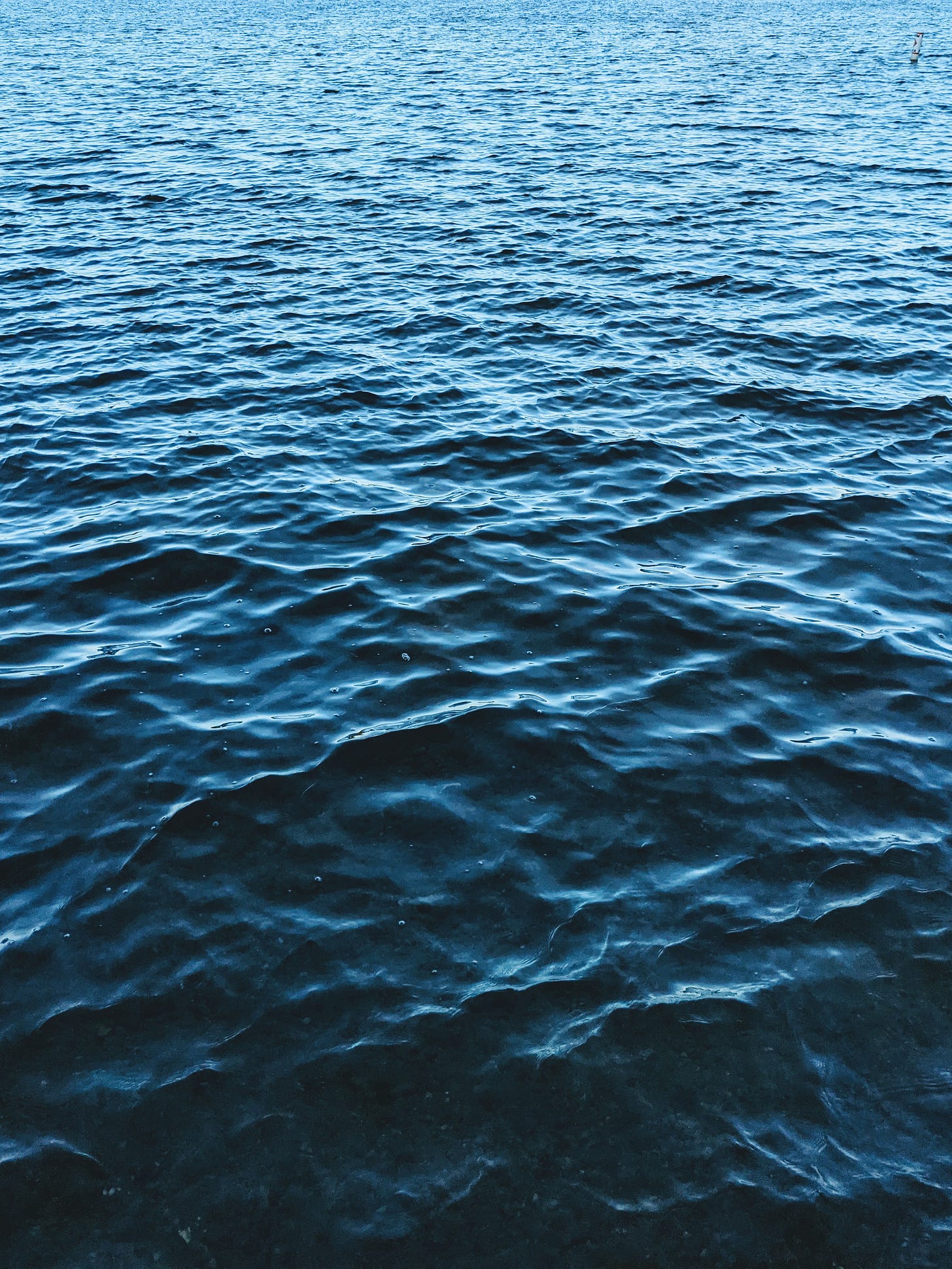 Closeup of lake water, at an agle, progressing from light blue to inky dark blue. Small ripples cover the surface.