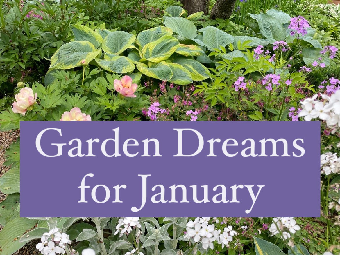 Colorful garden photo with "Garden Dreams for January" title