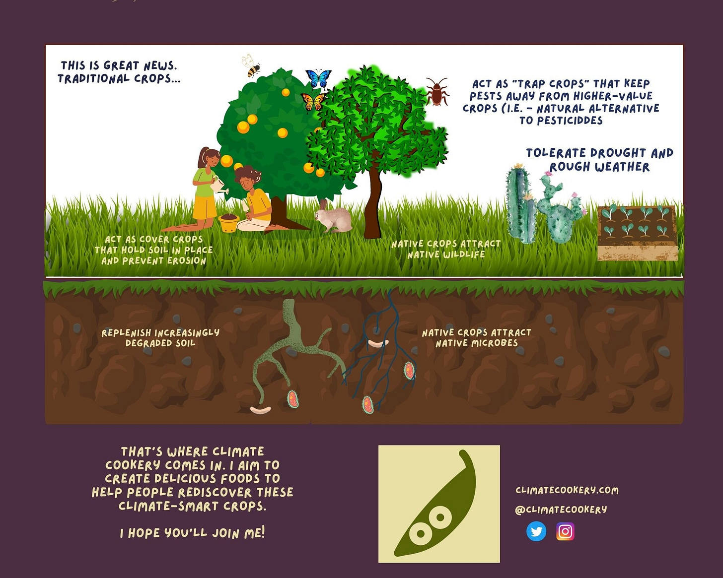 Thank you Canva for the tools to make this comic.