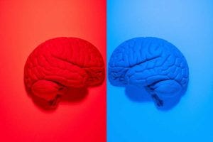 A brain scan can reveal whether a person would identify as a Republican or a Democrat.