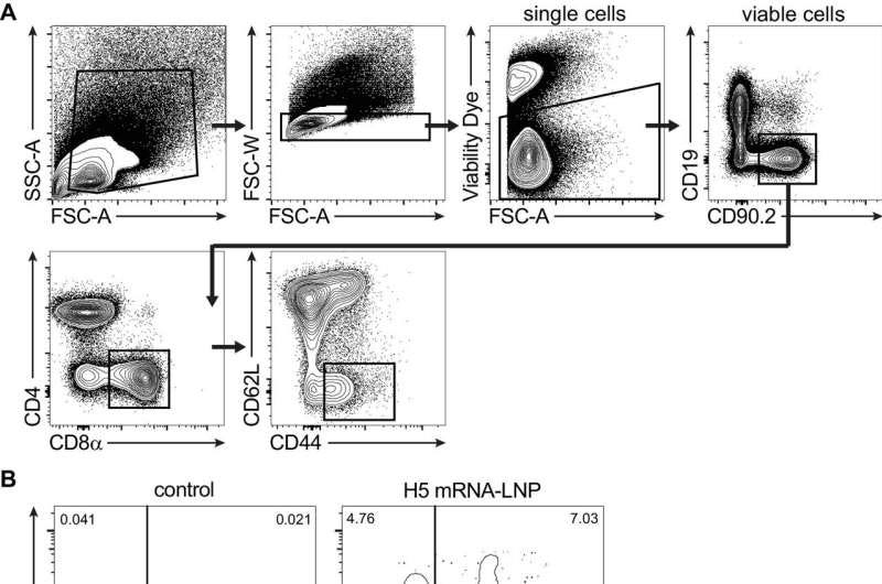 Penn Researchers Develop Experimental mRNA Avian Flu Vaccine