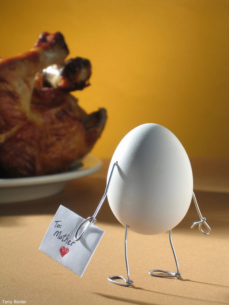 Terry Border humorous sculpture of an egg with a letter for his mother, shocked to find she's now a roast chicken