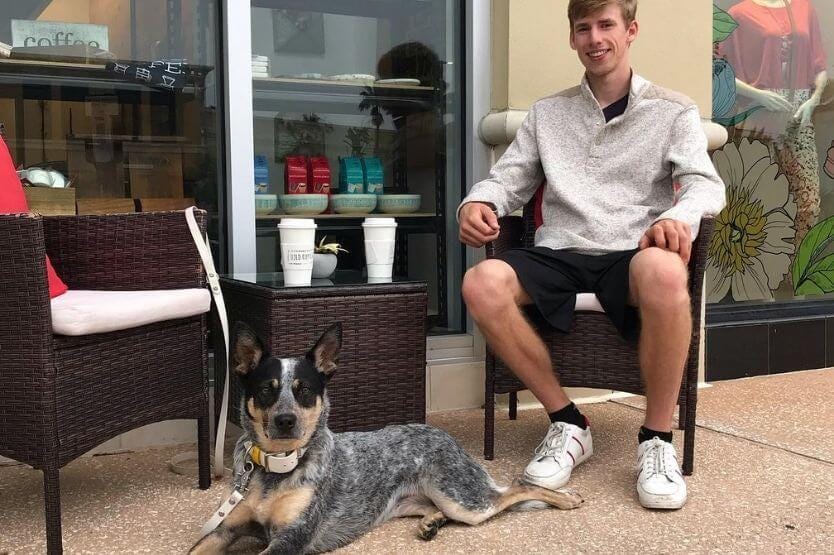 Scout the Australian cattle dog sitting outside of Bold Cup Coffee at The Avenue Viera dog-friendly mall with her owner