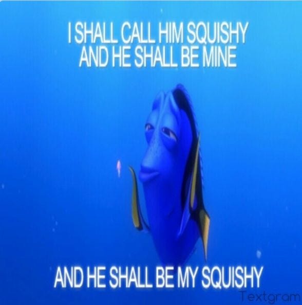 An image of Dory from Finding Nemo, saying "I shall call him squishy, and he shall be mine, and he shall be my squishy"