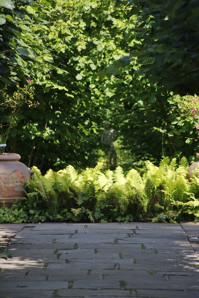 Ferns and a pot at Sissinghurst Castel Garden copyright Anne Wareham