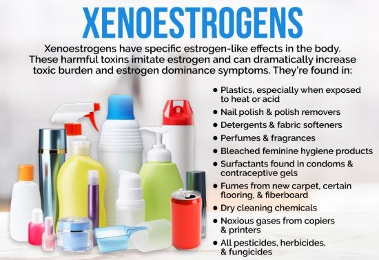 Xenoestrogens estrogen and endometriosis