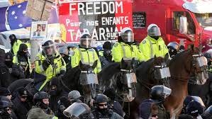 Injury from police horse during convoy protest too minor to investigate,  SIU says | CBC News