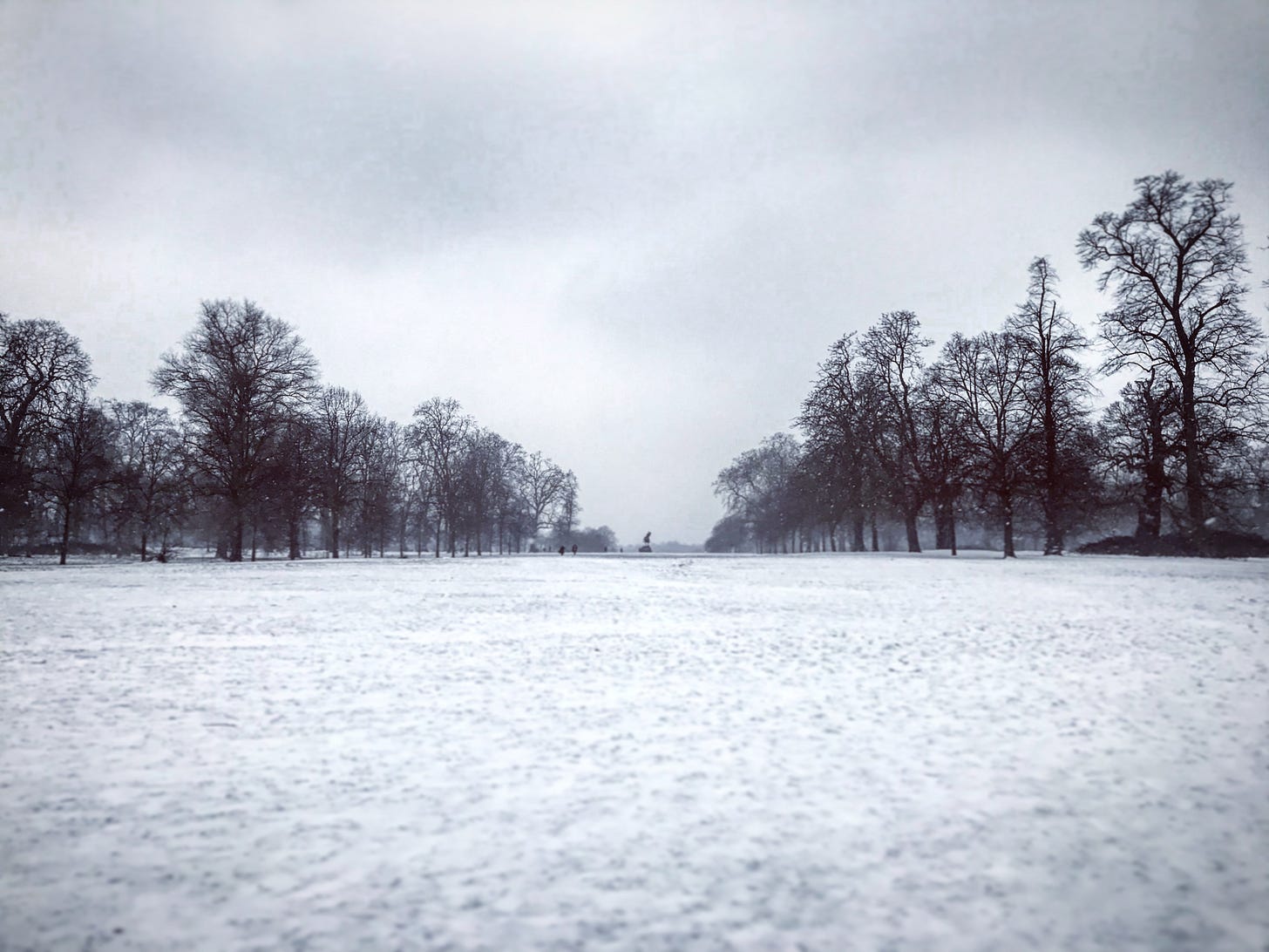 A photograph of a snowy landscape taken from a low angle. In the foreground sits a large field covered in snow, on both sides stand rows of leafless trees, and far in the background a fountain is visible.