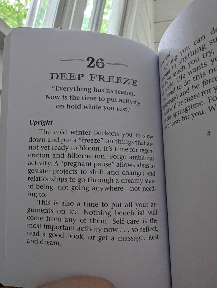 The text from the guidebook for the Deep Freeze card: The cold winter beckons you to slow down and put a "freeze" on things that are not yet ready to bloom. It's time for regeneration and hibernation. Forgo ambitious activity. A "pregnant pause" allows ideas to gestate; projects to shift and change; and relationships to go through a dreamy state of being, not going anywhere -- not needing to. This is also a time to put all your arguments on ice. Nothing beneficial will come from any of them. Self-care is the most important activity now...so reflect, read a good book, or get a massage. Rest and dream."