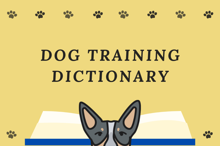 An illustration of a blue heeler's eyes and ears on top of an open book, below the text Dog Training Dictionary