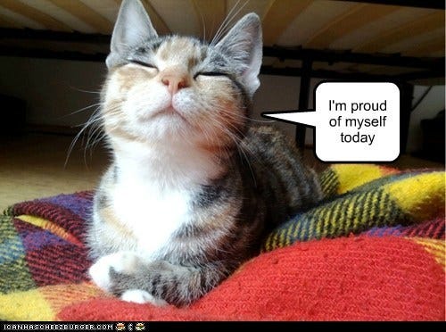 I'm proud - Lolcats - lol | cat memes | funny cats | funny cat pictures  with words on them | funny pictures | lol cat memes | lol cats