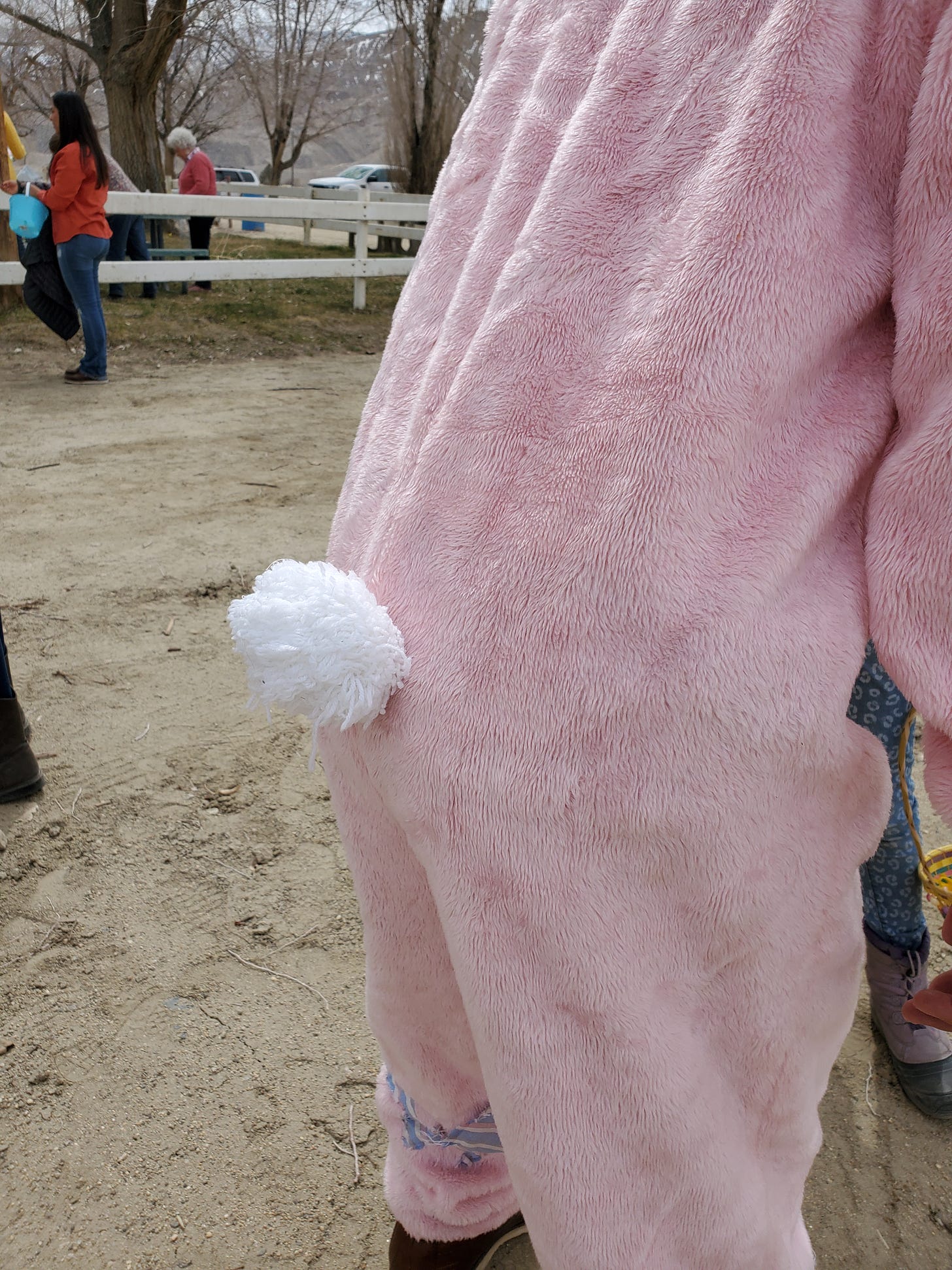 Eric's butt in a pink bunny costume with a white fluffy tail.