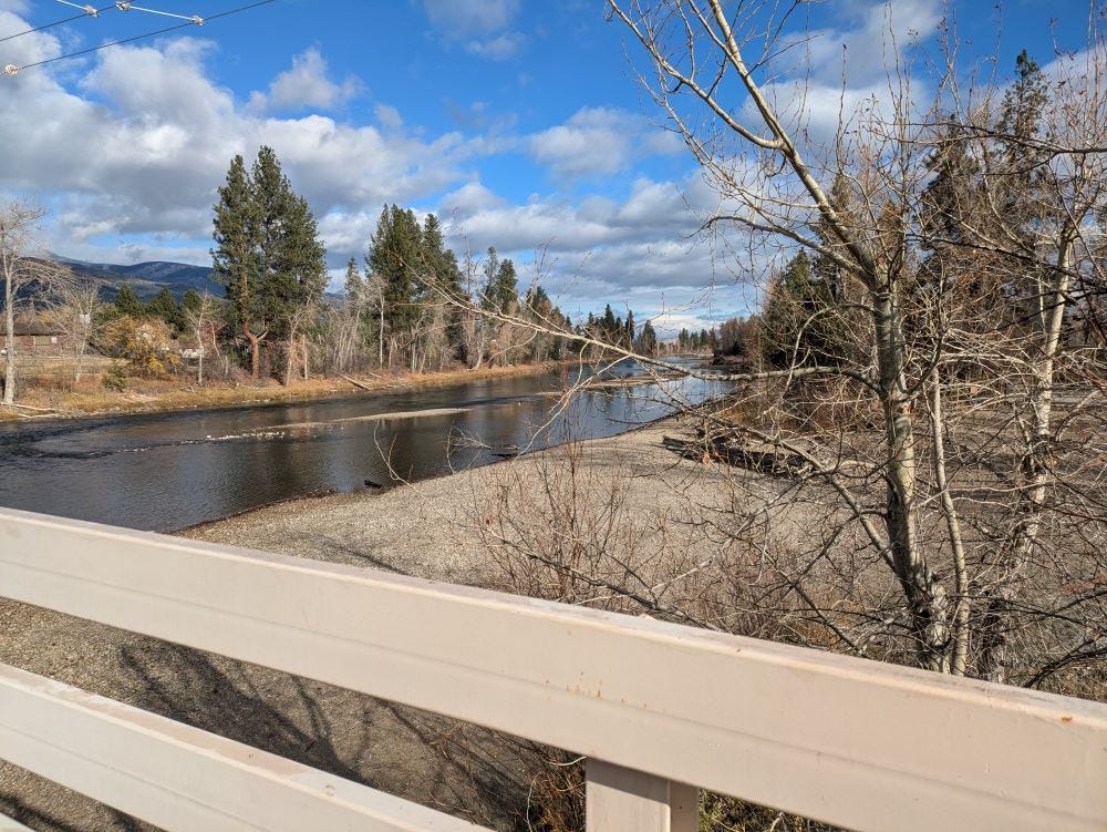 Looking back at the same river from the other side, past the leafless cottonwood trees