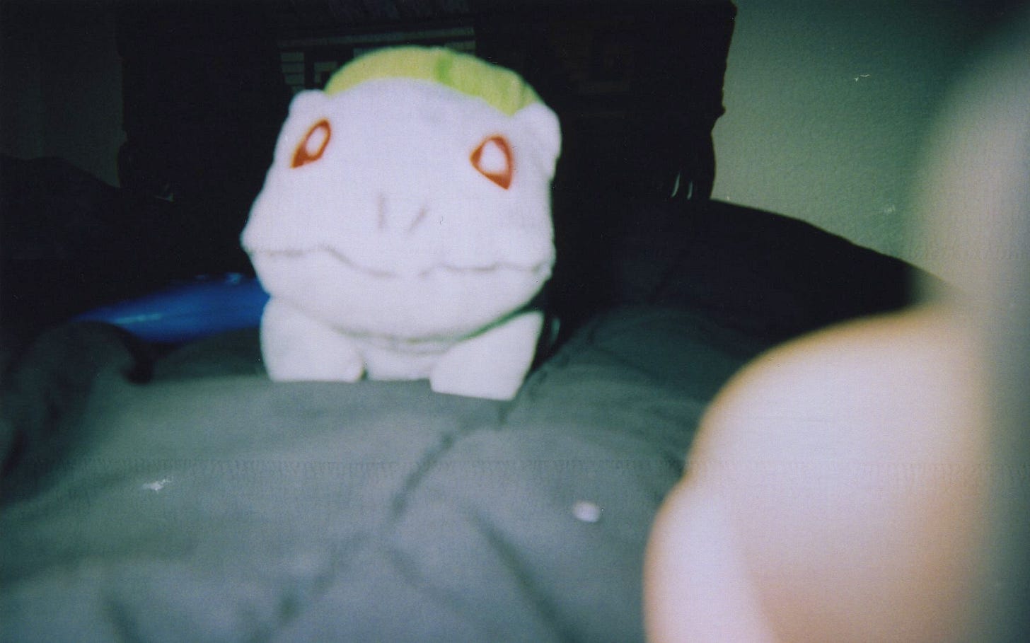 A photograph of Erchon’s beloved Bulbasaur plush