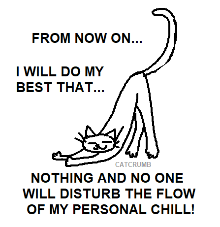 A catcrumb drawing of a cat doing a stretch and the text: FROM NOW ON I WILL DO MY BEST THAT NOTHING AND NO ONE WILL DISTURB THE FLOW OF MY PERSONAL CHILL