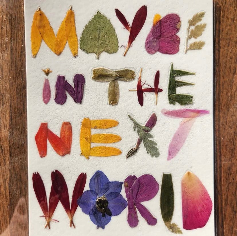 Image is a collage made of leaves and flower petals on white paper and reads "Maybe In the Next World"