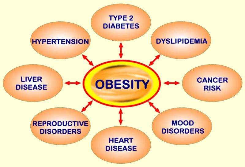 Clinical Problems Caused by Obesity - Endotext - NCBI Bookshelf