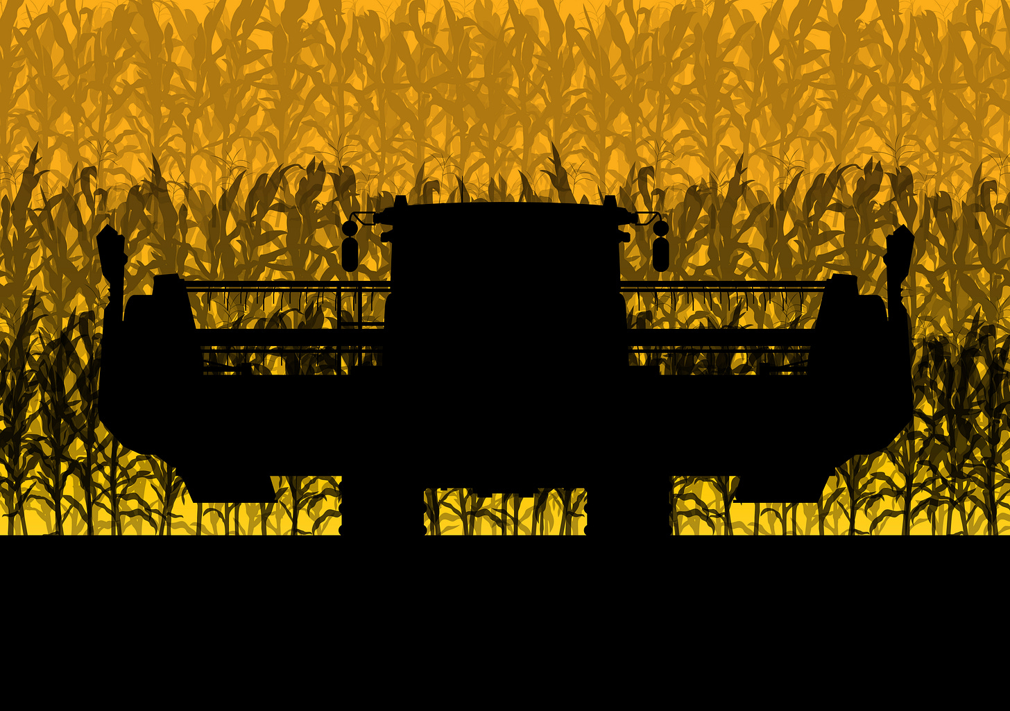 Approximately 92% of the corn grown in the United States is used for purposes other than direct human consumption. This includes livestock feed, which accounts for about 40% of U.S. corn production, and ethanol production, which consumes around 40% as well. The remaining portion is used for various industrial products and exported, leaving only a small percentage, roughly 8%, for direct human food products like cornmeal, corn syrup, and corn oil.