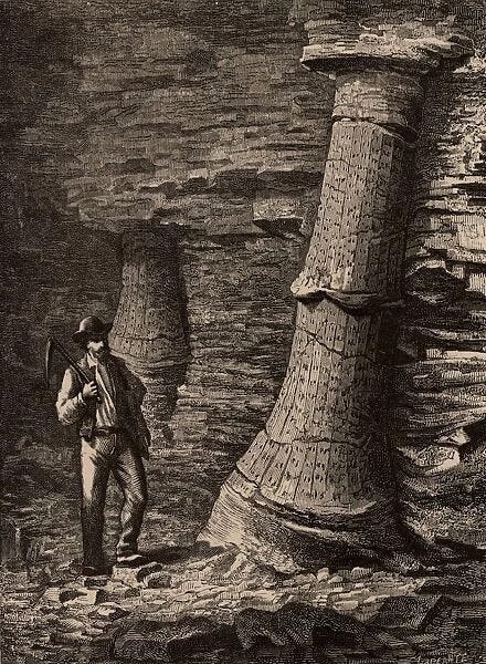 Fossilised tree trunks in Treuil coal mine, St Etienne