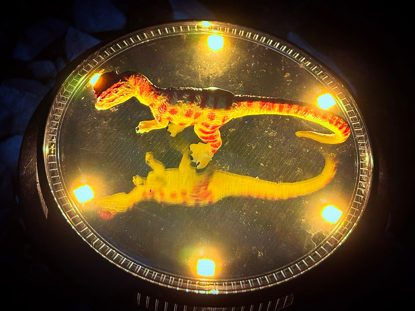 A green Dilophosaurus with brown spots stands on a glass disc surrounded by a circle of yellow lights.