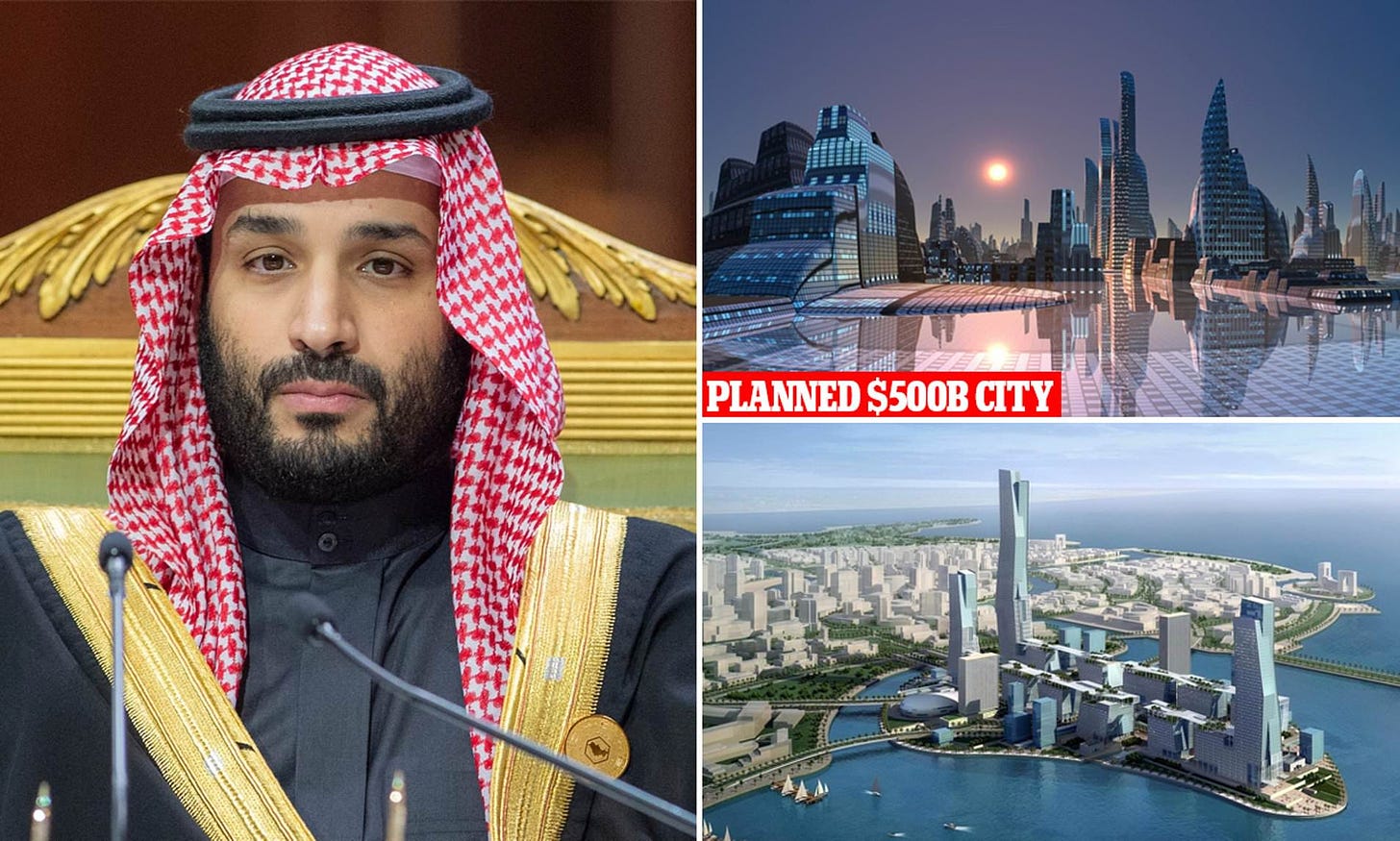 MBS plans to woo Wall Street with his 'Neom' megaproject | Daily Mail Online
