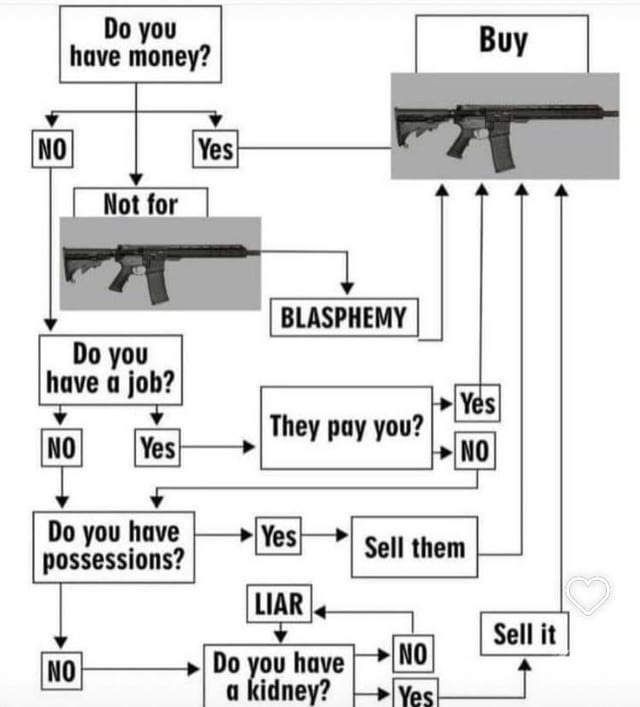 r/ConservativeMemes - Should you buy a modern sporting rifle? This decision maker will help.