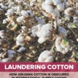 Laundering Cotton