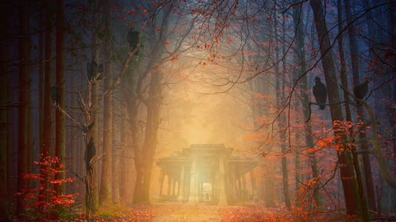 An eerie golden haze emanates from a fortress temple in the woods. The leaves are all blood-red. As you approach, vultures lurk in the branches over your head.