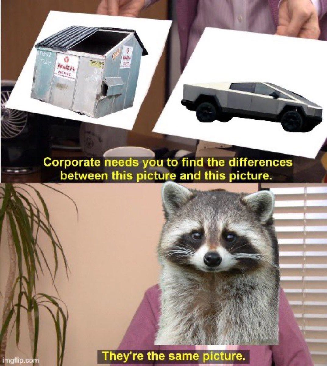Kevo on X: ""Raccoons are trying to break into Cybertrucks, and there's  some speculation that this is happening because the raccoons are literally  confusing them with dumpsters" https://t.co/MvjsYInUMG" / X