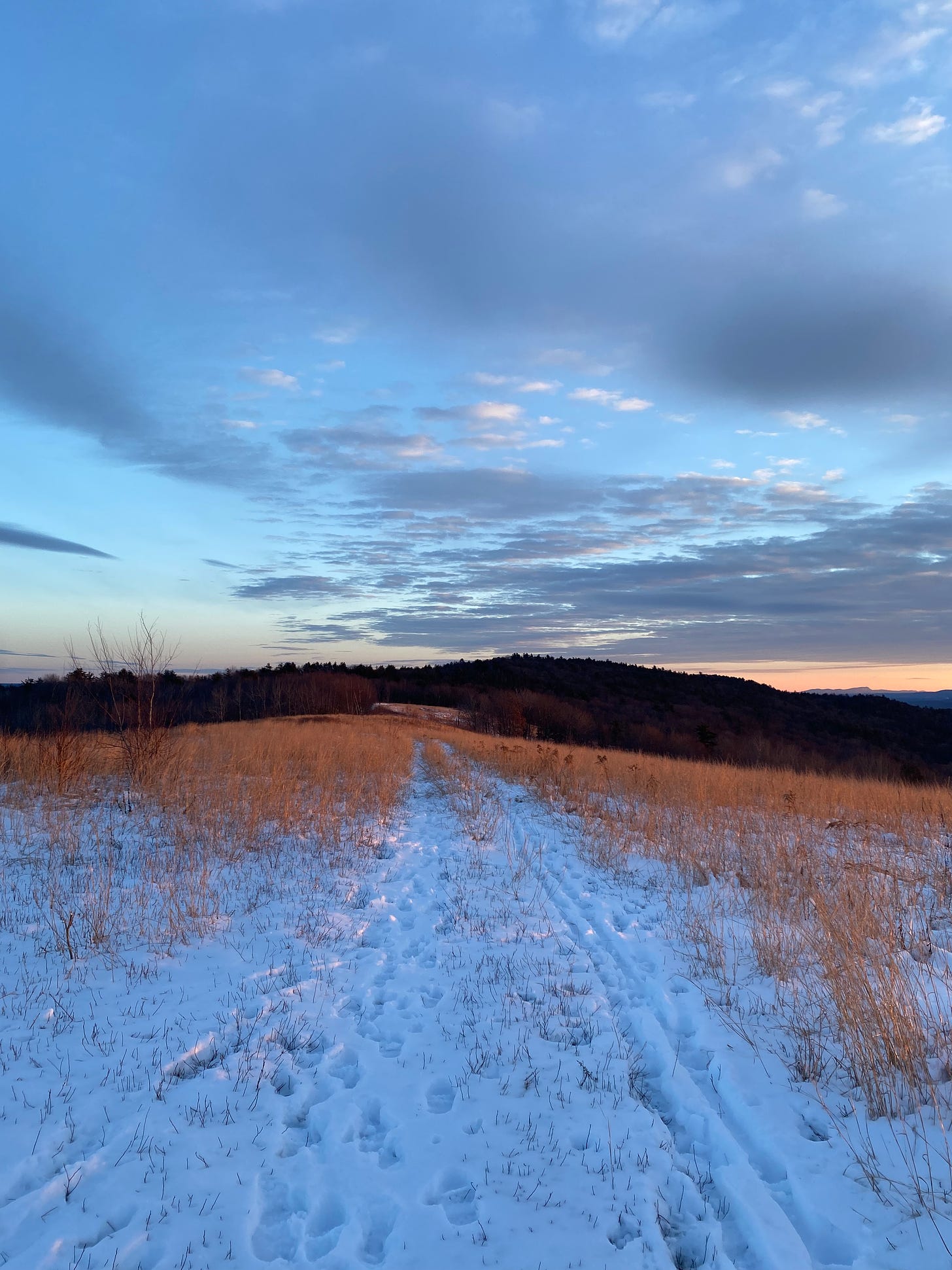 A snowy path through golden grass on the ridgetop at sunset. 