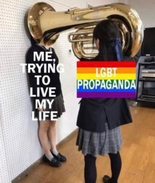 May be an image of 2 people and text that says "MΕ RYING το LIVE MY LIFE LGBT PROPAGANDA"