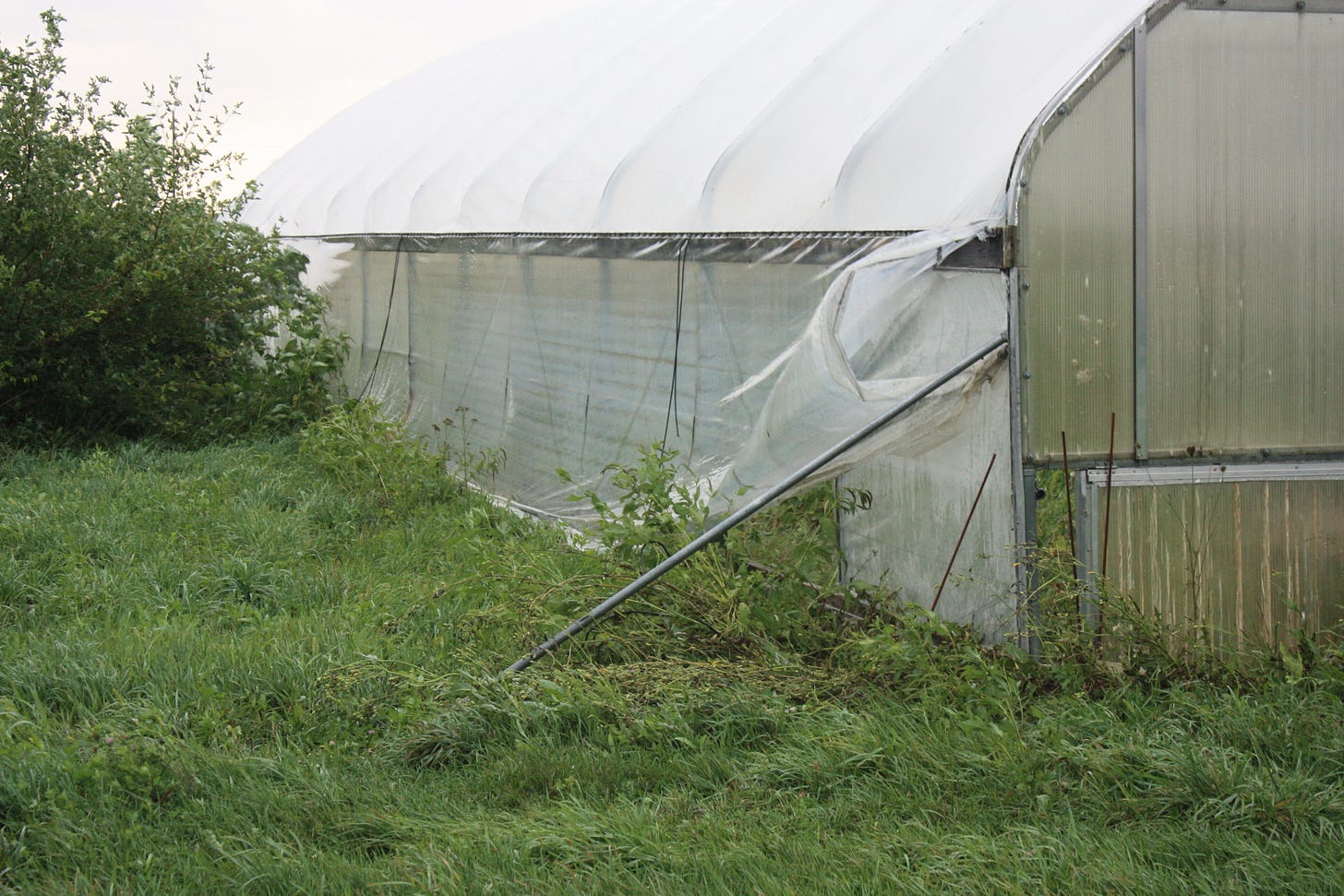 High tunnel damage at GFF