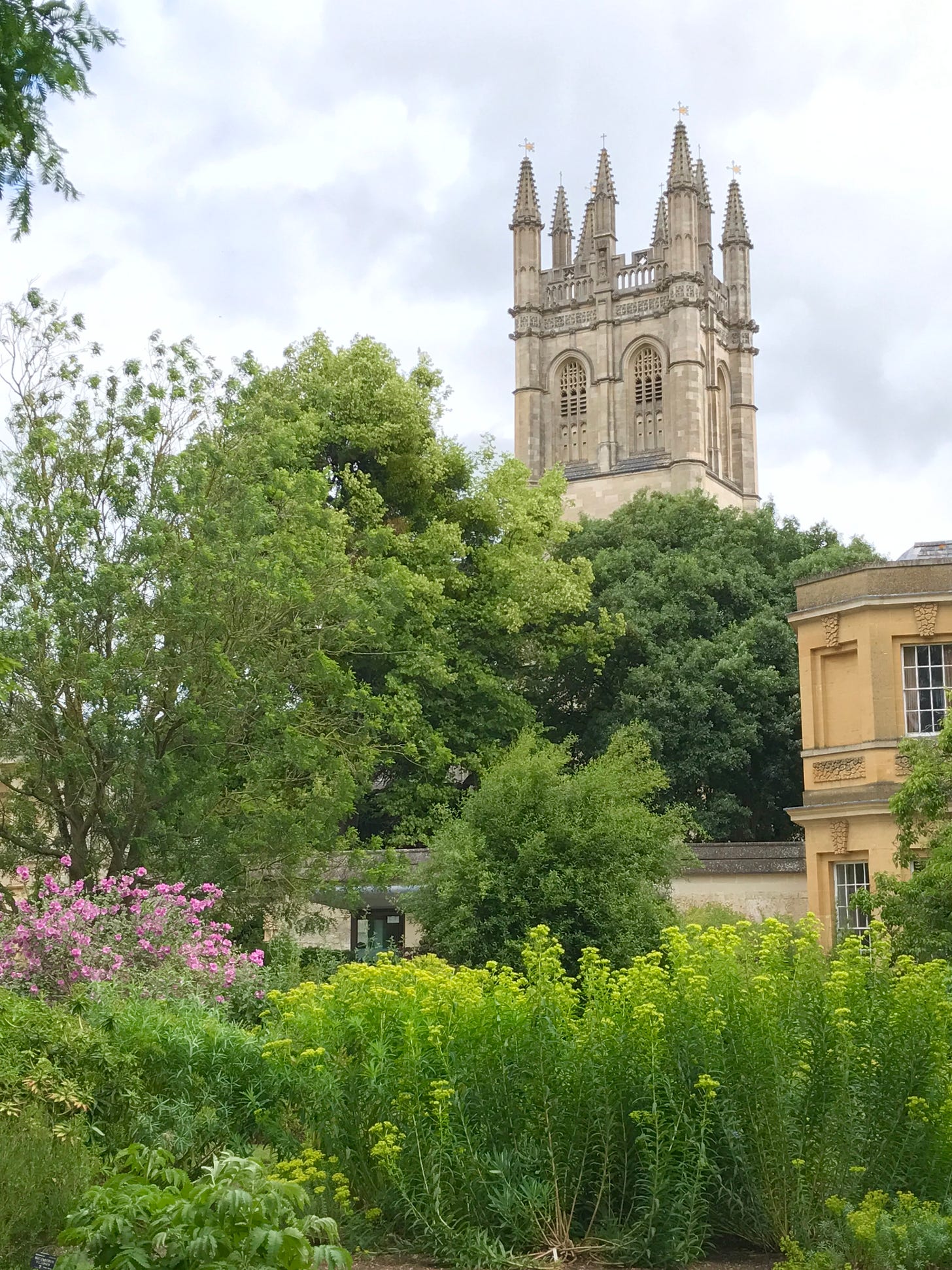 Magdalen Tower over Oxford Botanic Garden borders