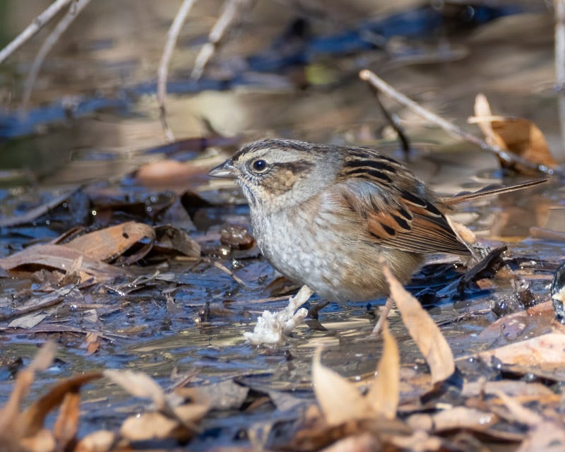 20250114-LakesidePark-301-Edit.jpg