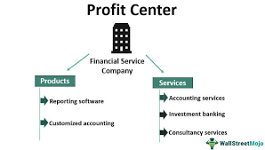 Profit Center - Definition, Advantages ...