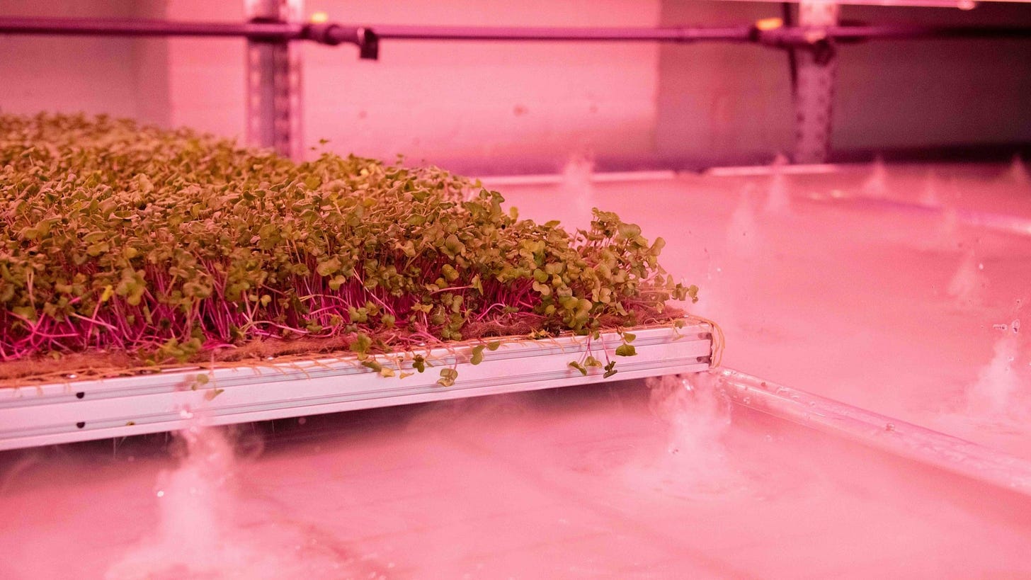 Aeroponic Rolling Benches | LettUs Grow's aeroponics for commercial  greenhouses & indoor farms