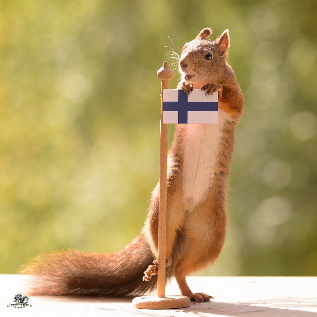 squirrel holding a flag of Finland | red squirrel is holding… | Flickr