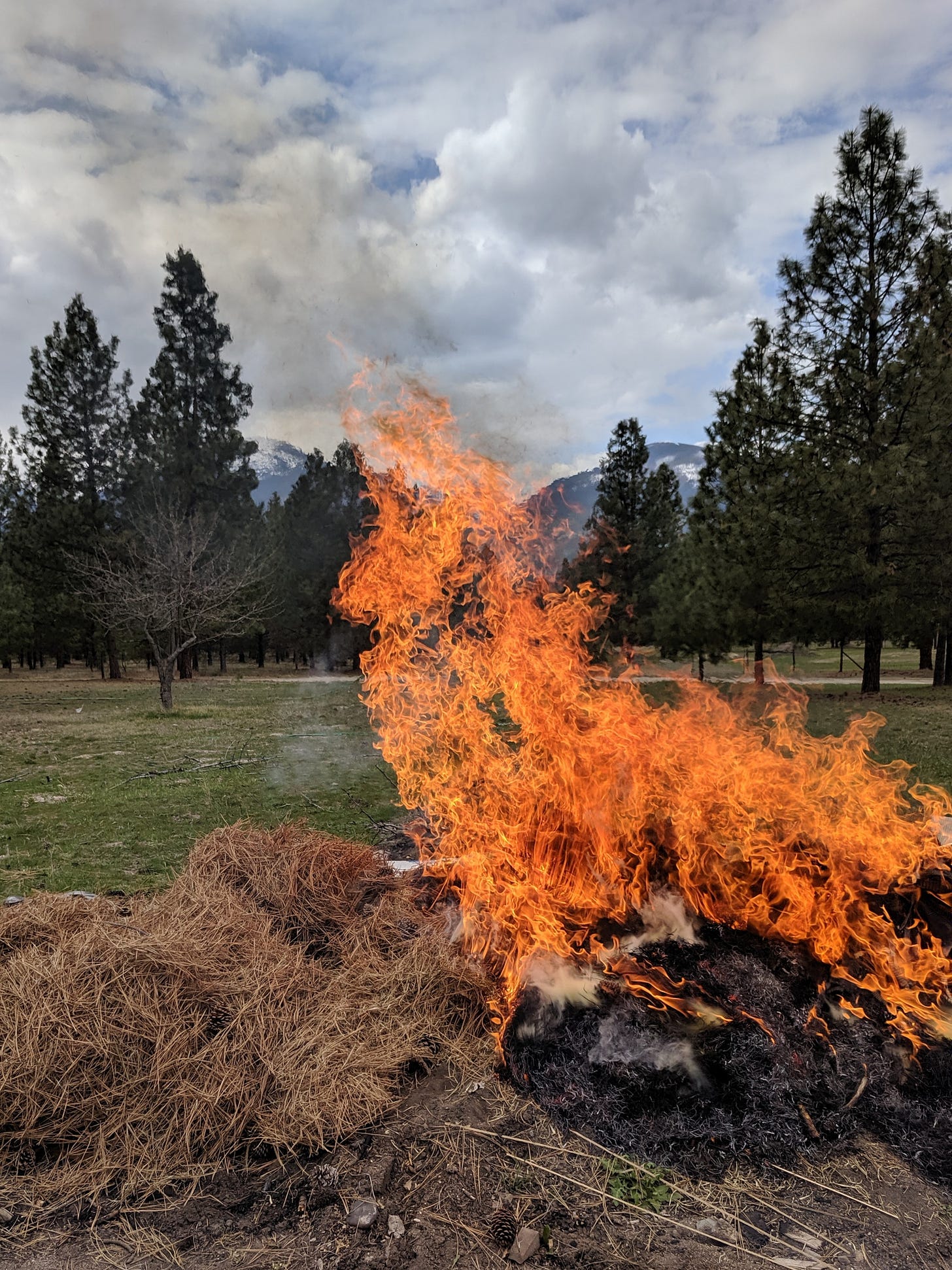 photo of an intense fire--small and contained--with mountains and pine trees in the background