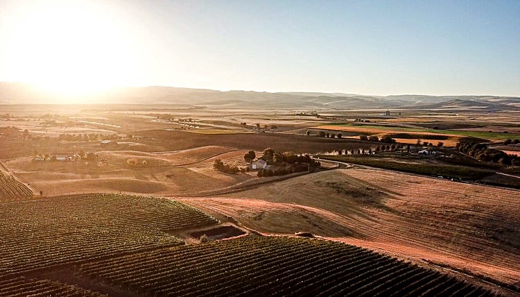 Vineyard scene in the arid Columbia Valley, where 99% of Washington State's 11 million acres of wine grapes grow. (<a href="https://www.washingtonwine.org/resource/columbia-valley-ava/" target="_new">Image from WashingtonWine.org.</a>)