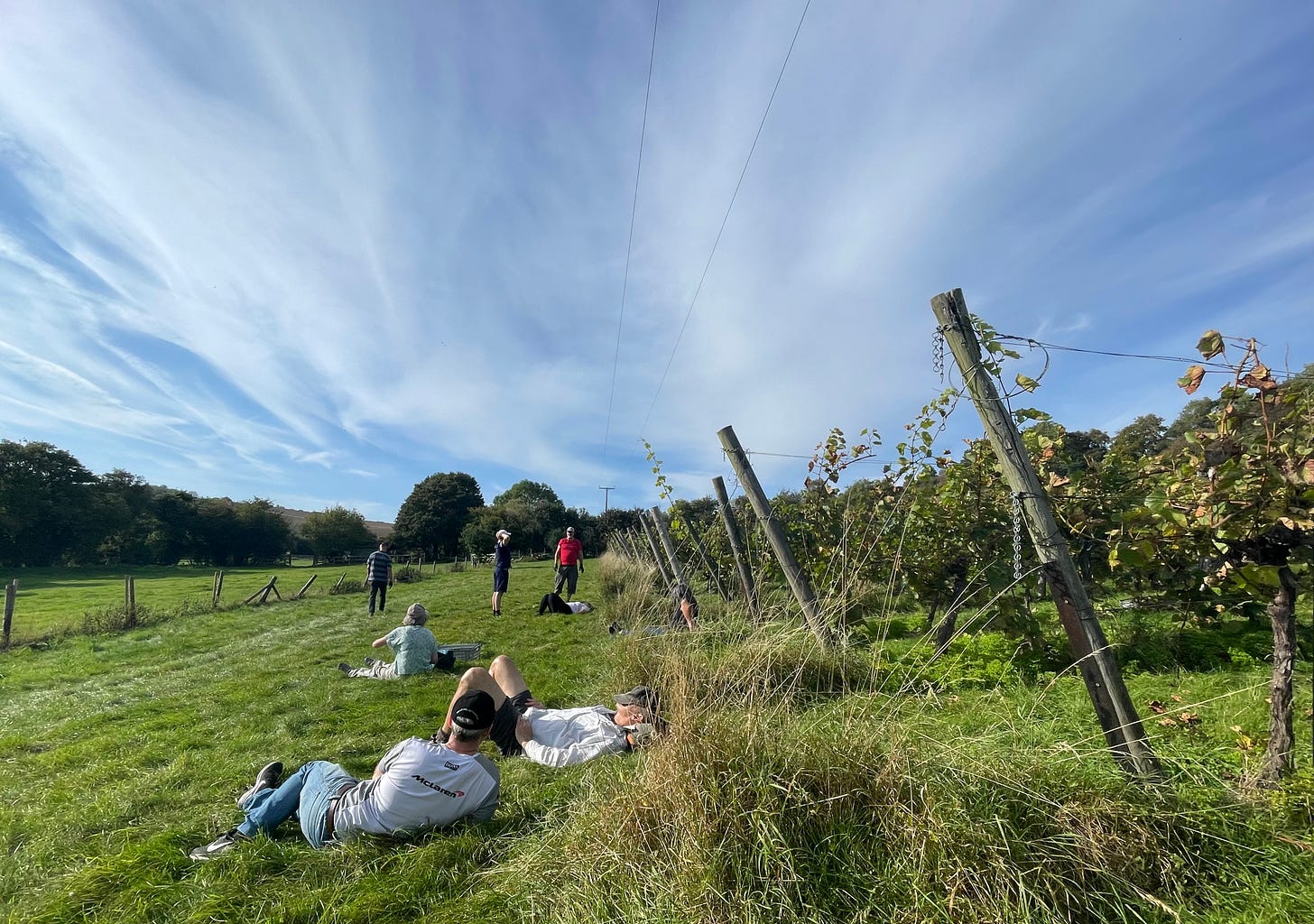 Volunteers resting in the vineyard