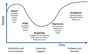 Grief and Adaptation – Striving to Thriving