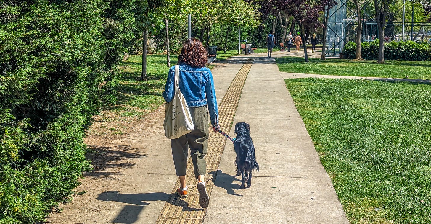 A woman walking her dog through the park.