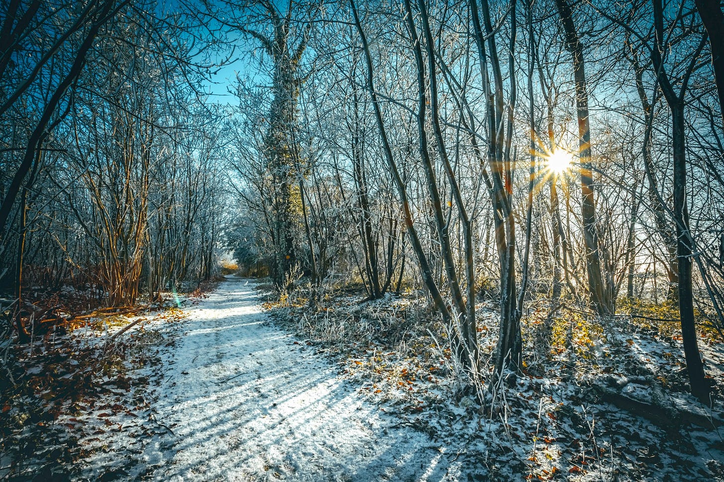 A Functional Medicine Approach to Seasonal Affective Disorder (SAD) Treatment and Management A Functional Medicine Approach to Seasonal Affective Disorder (SAD) Treatment and Management