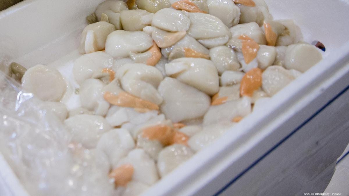 Scallops linked to Hawaii hepatitis A outbreak sold only at Genki Sushi,  distributor Koha Oriental Foods says - Pacific Business News