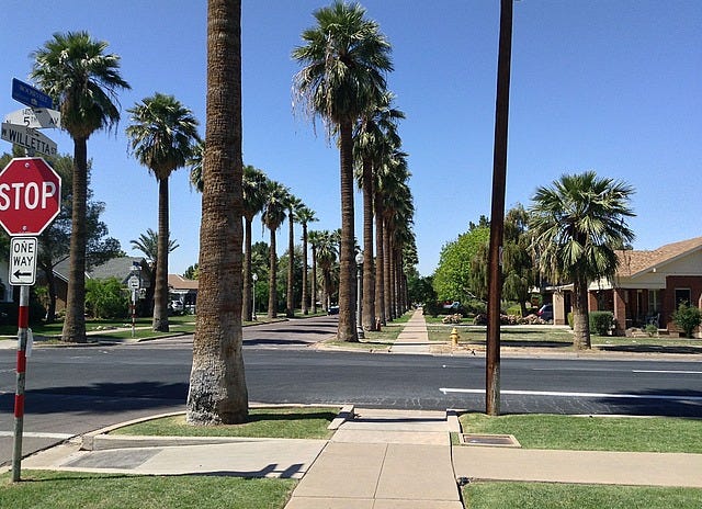 Streets lined with palms