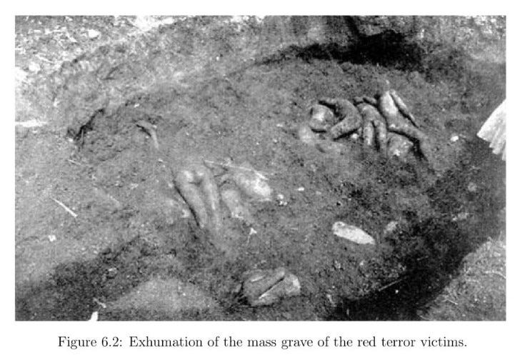 From The Red Terror in Russia, Figure 6.2: Exhumation of the mass grave of the red terror victims.